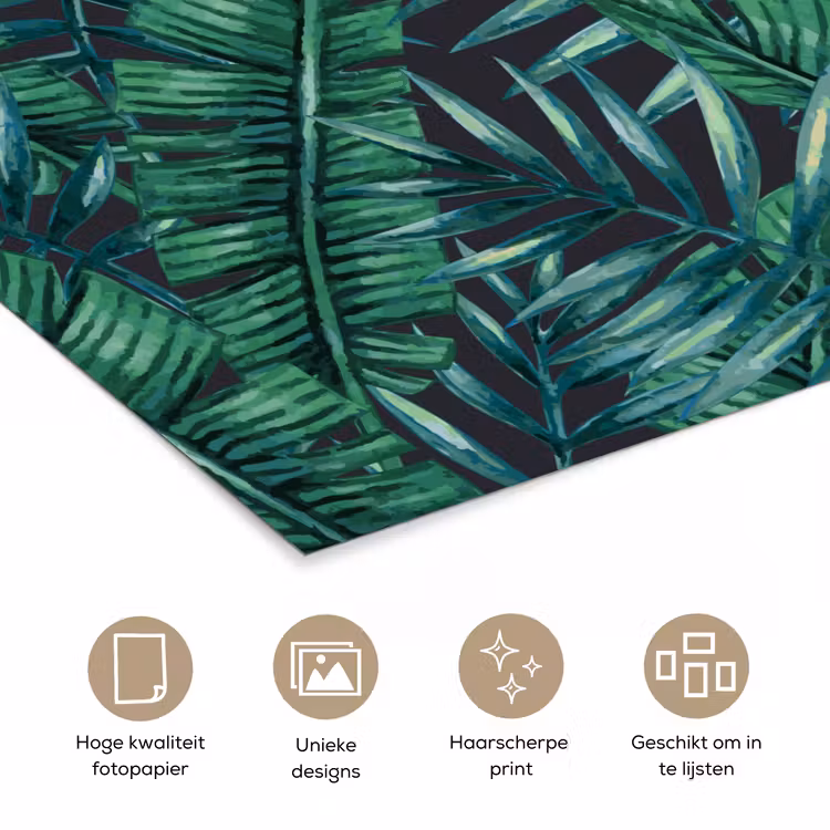Jungle - Bladeren - Tropical poster papier klein -closeup_NL