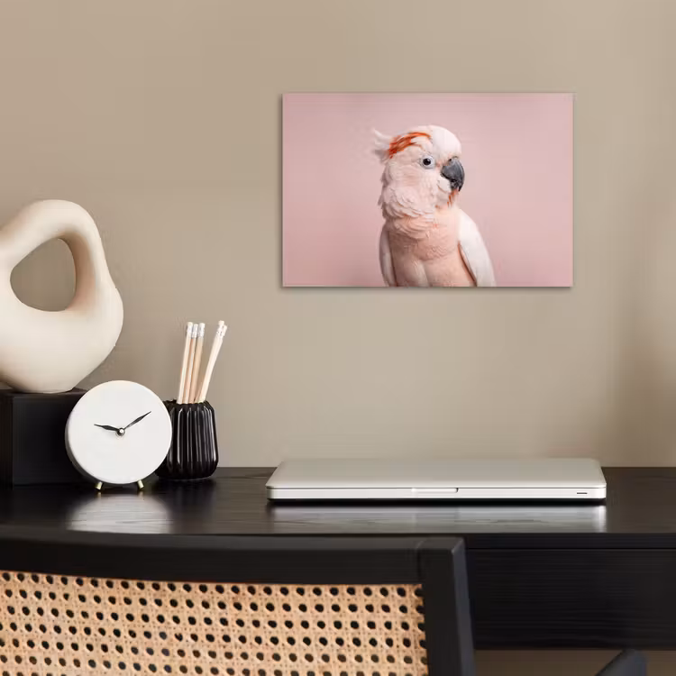 Kaketoe - Portret - Roze poster papier klein -sfeer1