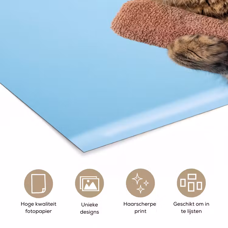 Kat - Handdoek - Washand - Zeep poster papier klein -closeup_NL