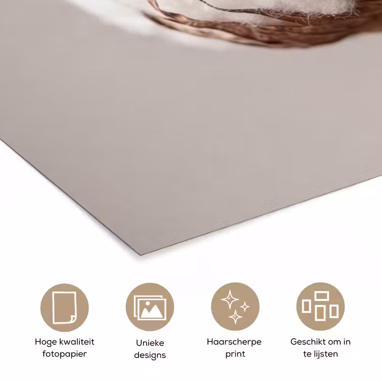 Katoenbol - Minimalistisch - Wit poster papier klein -closeup_NL