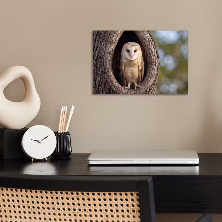 Kerkuil - Boom - Natuur - Bruin poster papier klein -sfeer1