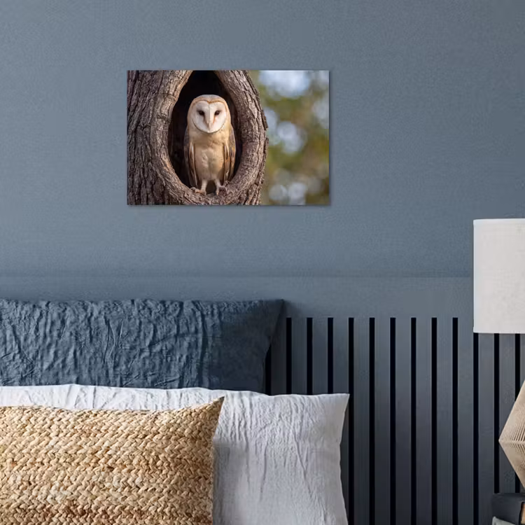 Kerkuil - Boom - Natuur - Bruin poster papier klein -sfeer2