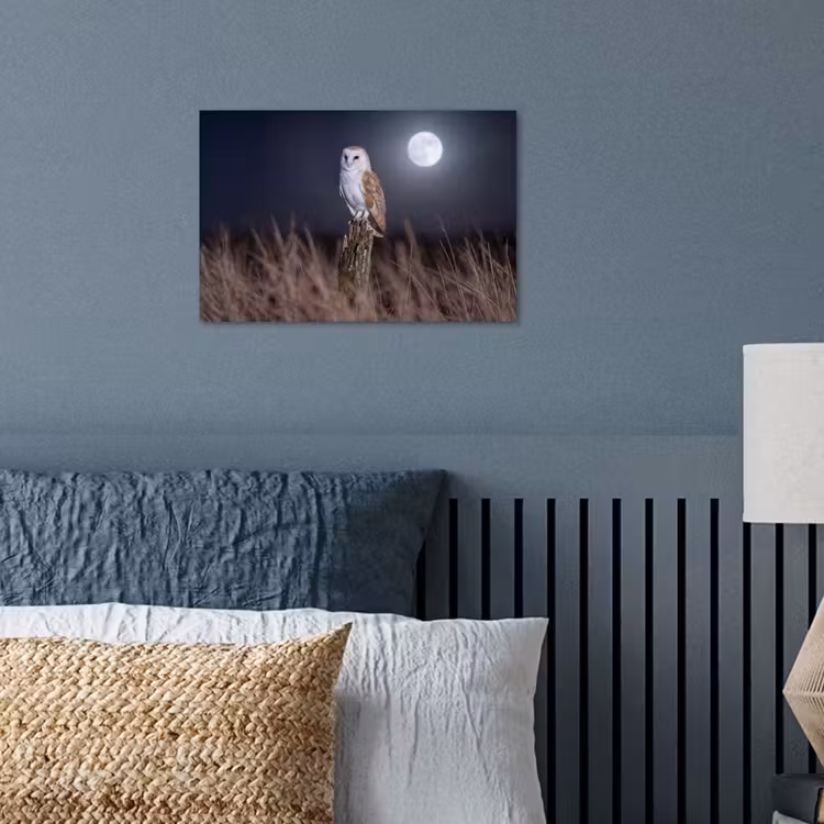 Kerkuil - Maan - Nacht poster papier klein -sfeer2