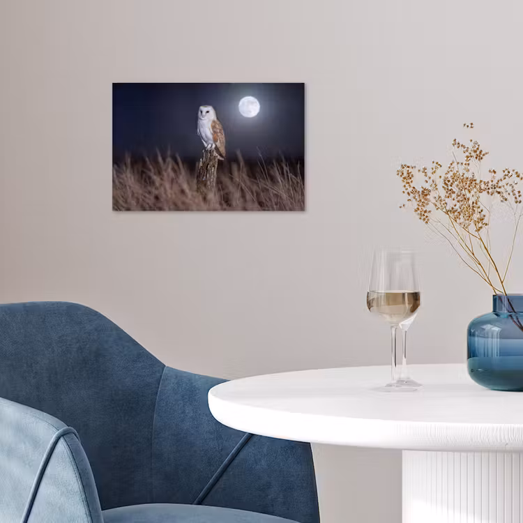 Kerkuil - Maan - Nacht poster papier klein -sfeer3
