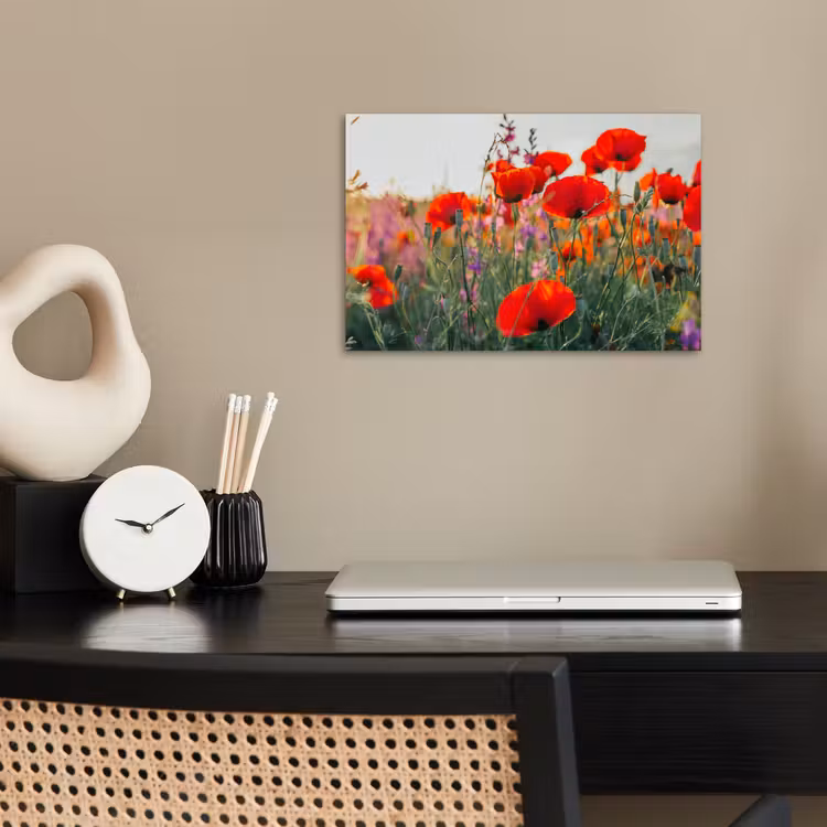 Klaproos - Bloemen - Rood - Paars - Weide poster papier klein -sfeer1
