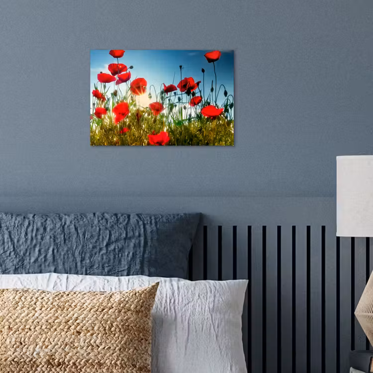 Klaprozen - Toscane - Zon - Rood - Blauw poster papier klein -sfeer2