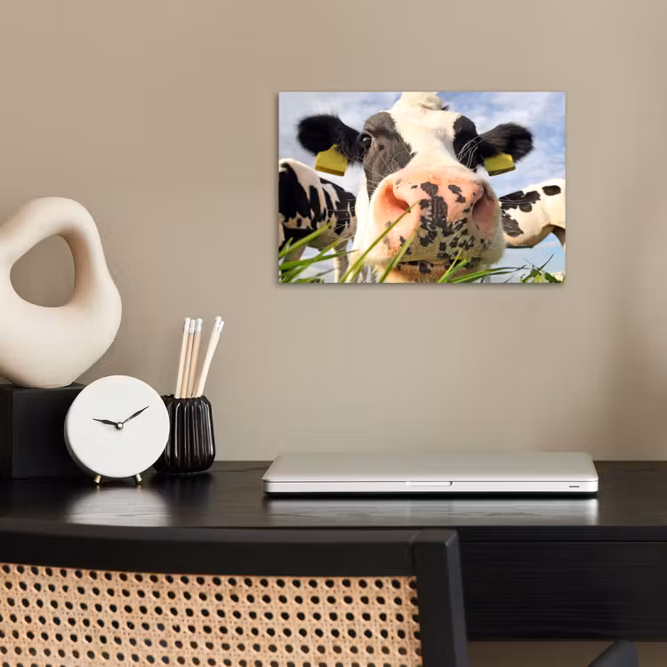 Koe - Boerderij - Gras - Dieren poster papier klein -sfeer1