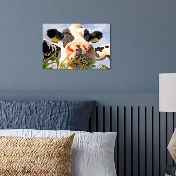 Koe - Boerderij - Gras - Dieren poster papier klein -sfeer2