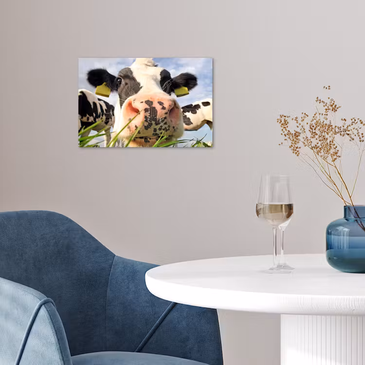 Koe - Boerderij - Gras - Dieren poster papier klein -sfeer3