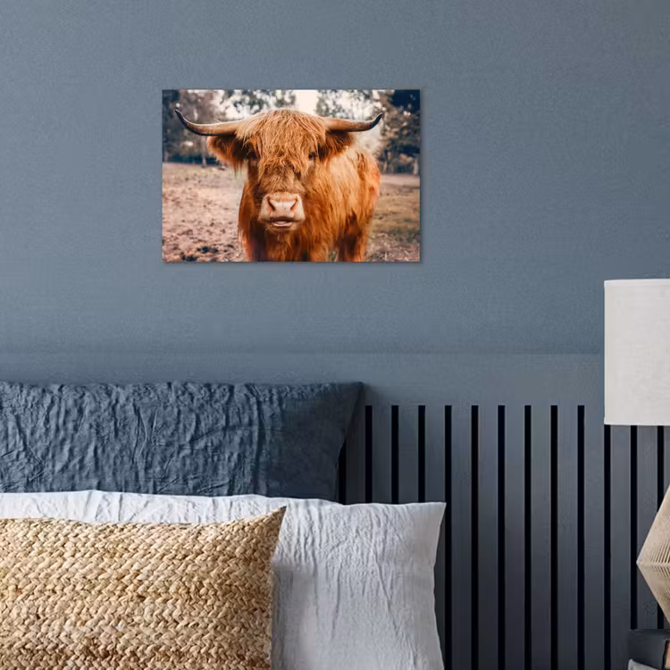 Koe- Schotse hooglander - Hoorns - Bruin - Landschap poster papier klein -sfeer2
