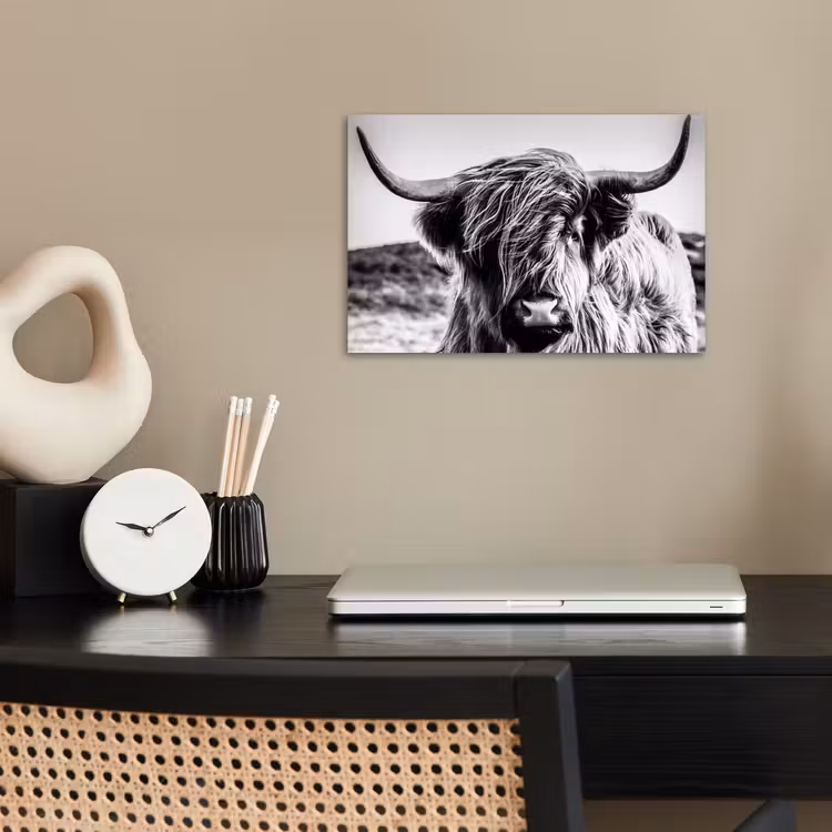Koe - Schotse hooglander - Zwart - Wit - Dier - Natuur - Wild poster papier klein -sfeer1