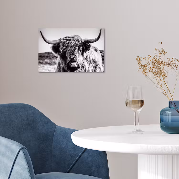 Koe - Schotse hooglander - Zwart - Wit - Dier - Natuur - Wild poster papier klein -sfeer3