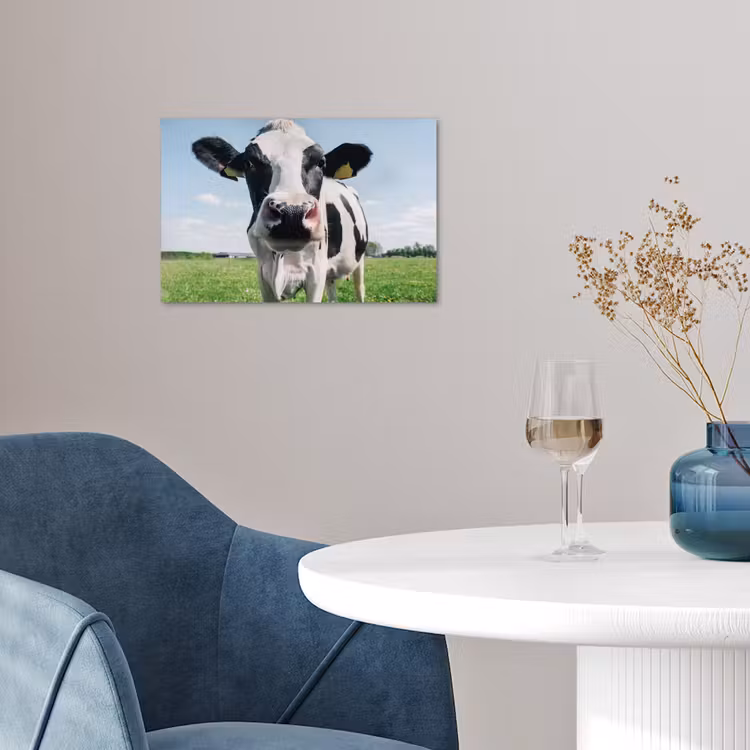 Koe - Weiland - Natuur - Dieren - Gras poster papier klein -sfeer3