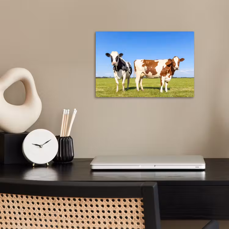 Koeien - Boerderij - Gras- Natuur - Dieren poster papier klein -sfeer1