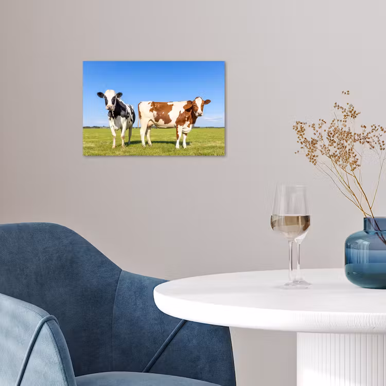 Koeien - Boerderij - Gras- Natuur - Dieren poster papier klein -sfeer3