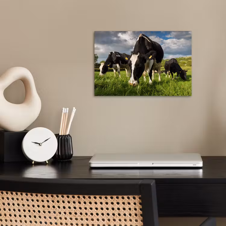 Koeien - Dieren - Gras - Weiland - Boerderij poster papier klein -sfeer1