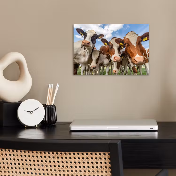 Koeien - Dieren - Weiland - Natuur poster papier klein -sfeer1