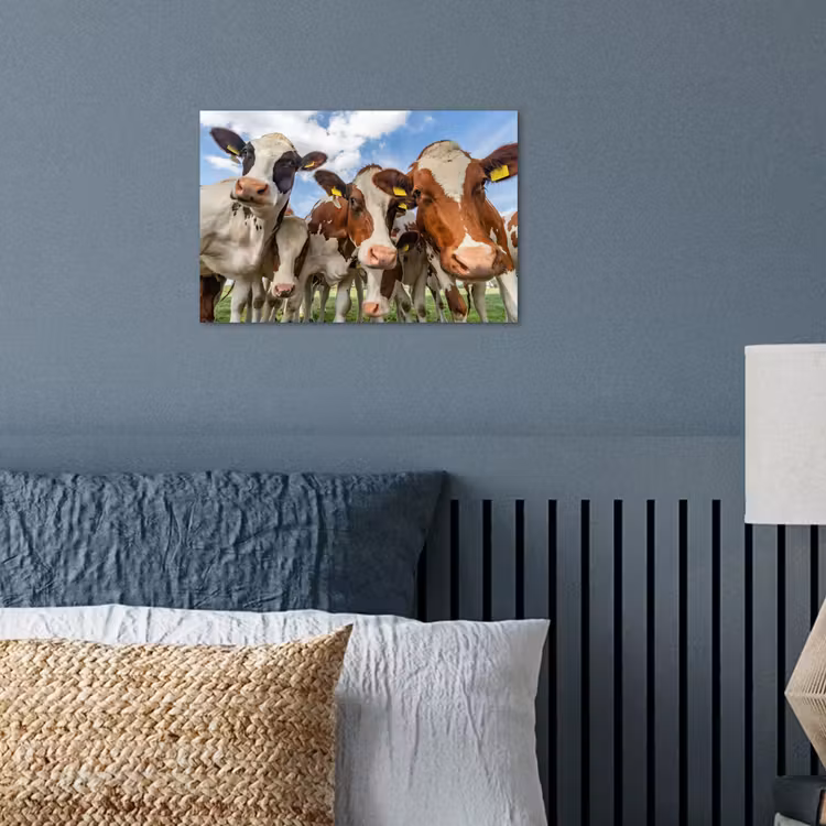 Koeien - Dieren - Weiland - Natuur poster papier klein -sfeer2