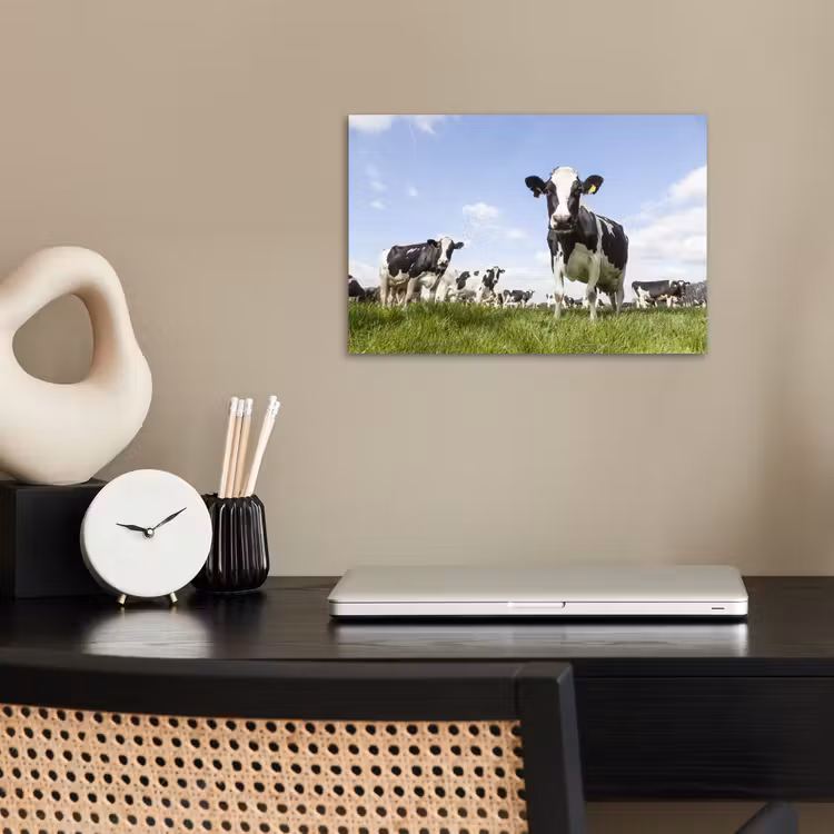 Koeien - Gras - Dieren - Zon - Boerderij poster papier klein -sfeer1