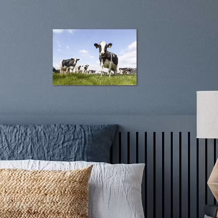 Koeien - Gras - Dieren - Zon - Boerderij poster papier klein -sfeer2