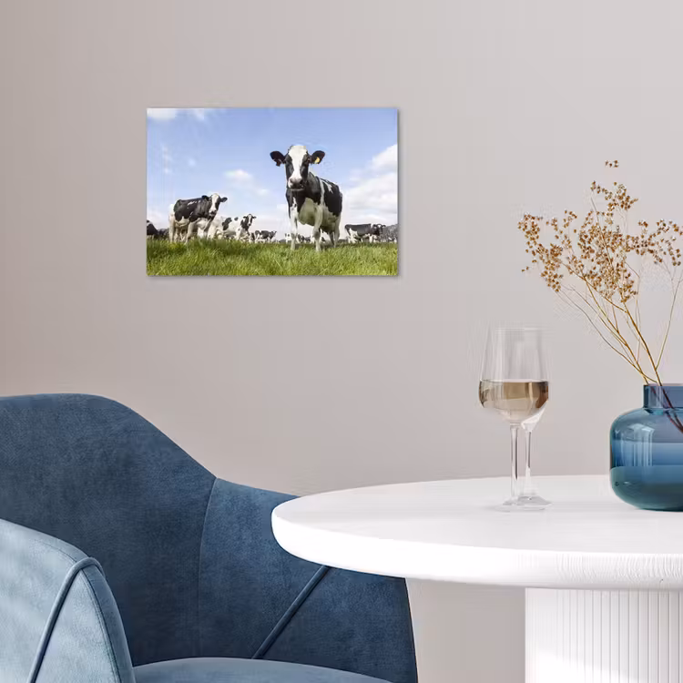 Koeien - Gras - Dieren - Zon - Boerderij poster papier klein -sfeer3
