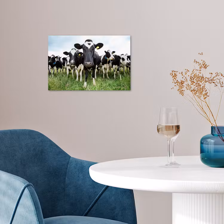 Koeien - Gras - Lente - Dieren - Weiland - Boerderij poster papier klein -sfeer3