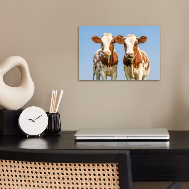 Koeien - Lucht - Dieren - Boerderij - Portret poster papier klein -sfeer1