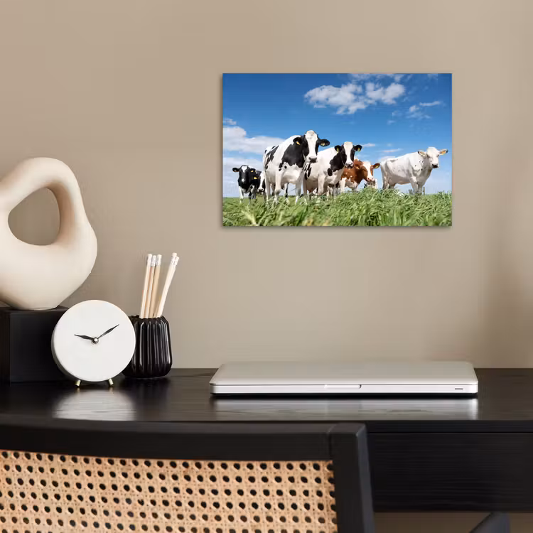 Koeien - Platteland - Weiland - Natuur - Dieren poster papier klein -sfeer1