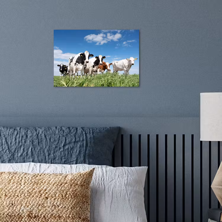 Koeien - Platteland - Weiland - Natuur - Dieren poster papier klein -sfeer2