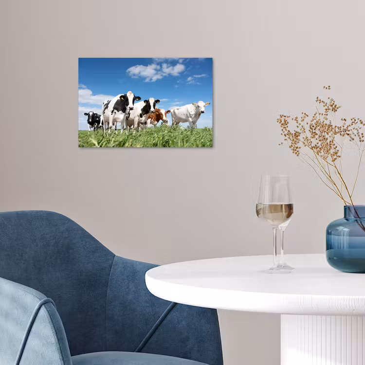 Koeien - Platteland - Weiland - Natuur - Dieren poster papier klein -sfeer3