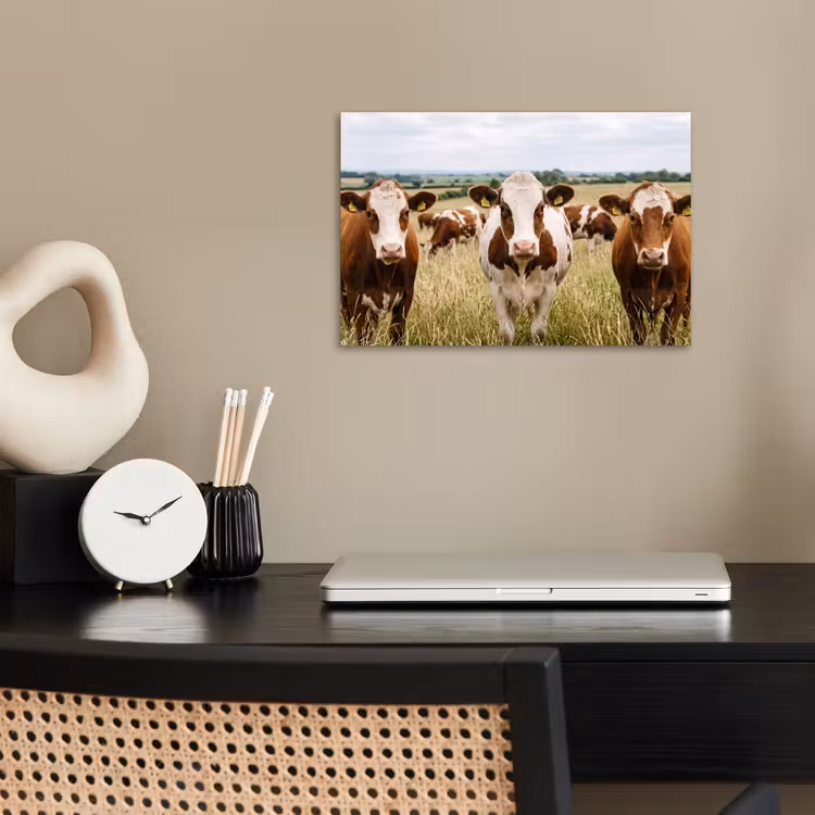 Koeien - Portret - Weide - Boerderij - Nieuwsgierig poster papier klein -sfeer1