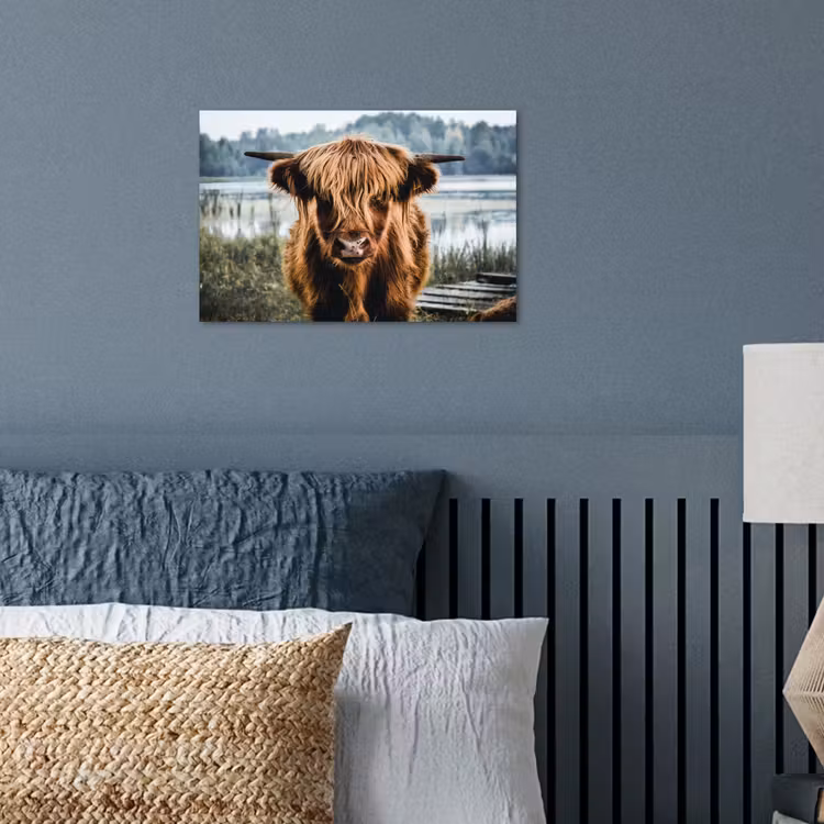 Koeien - Schotse hooglander - Bruin - Natuur poster papier klein -sfeer2