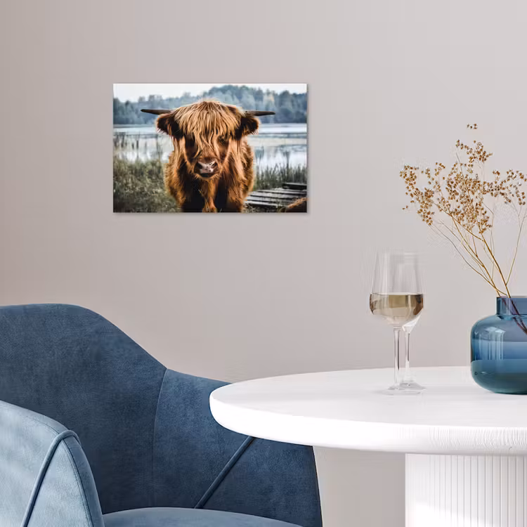 Koeien - Schotse hooglander - Bruin - Natuur poster papier klein -sfeer3