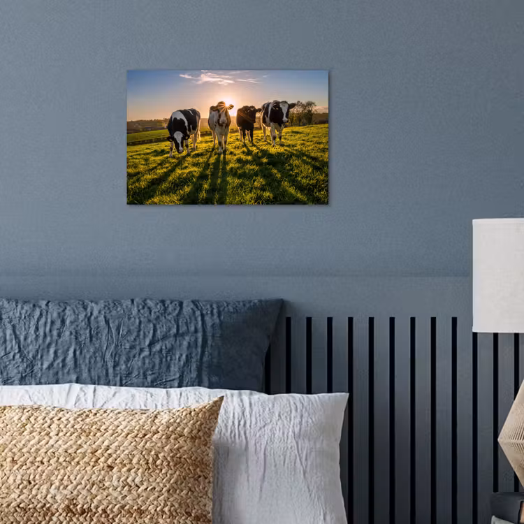 Koeien - Zon - Gras - Dieren - Boerderij poster papier klein -sfeer2