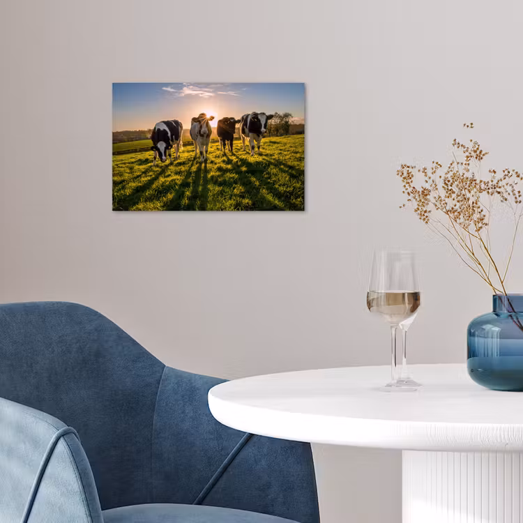 Koeien - Zon - Gras - Dieren - Boerderij poster papier klein -sfeer3