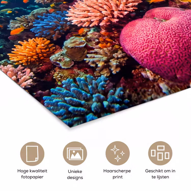 Koraal - Vissen - Oceaan - Natuur - Kleurrijk poster papier klein -closeup_NL