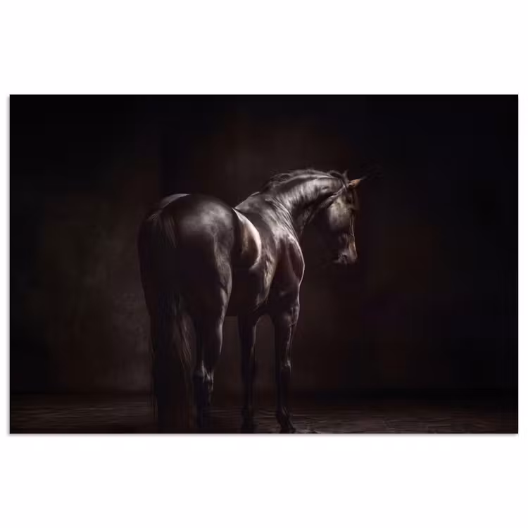 Krachtig - Paard - Donker poster papier klein -3d