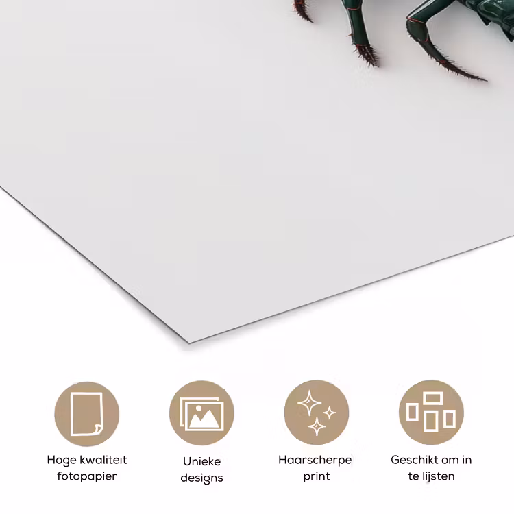 Kreeft - Glossier - Groen - Wit poster papier klein -closeup_NL