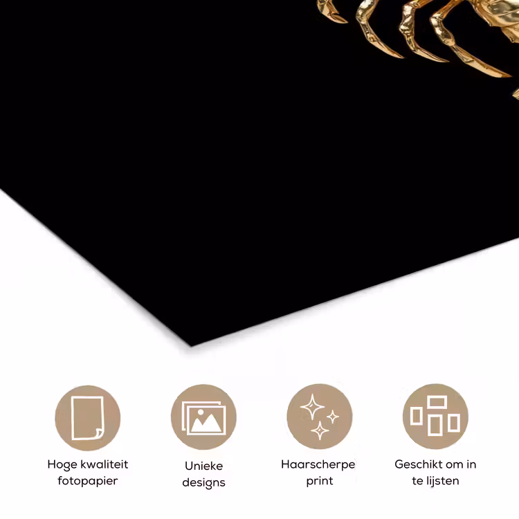 Kreeft - Goud - Textuur - Zwart poster papier klein -closeup_NL
