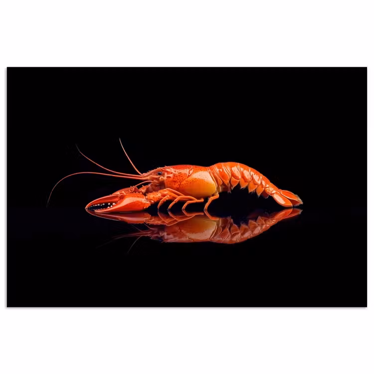 Kreeft - Oranje - Zwart - Opvallend poster papier klein -3d