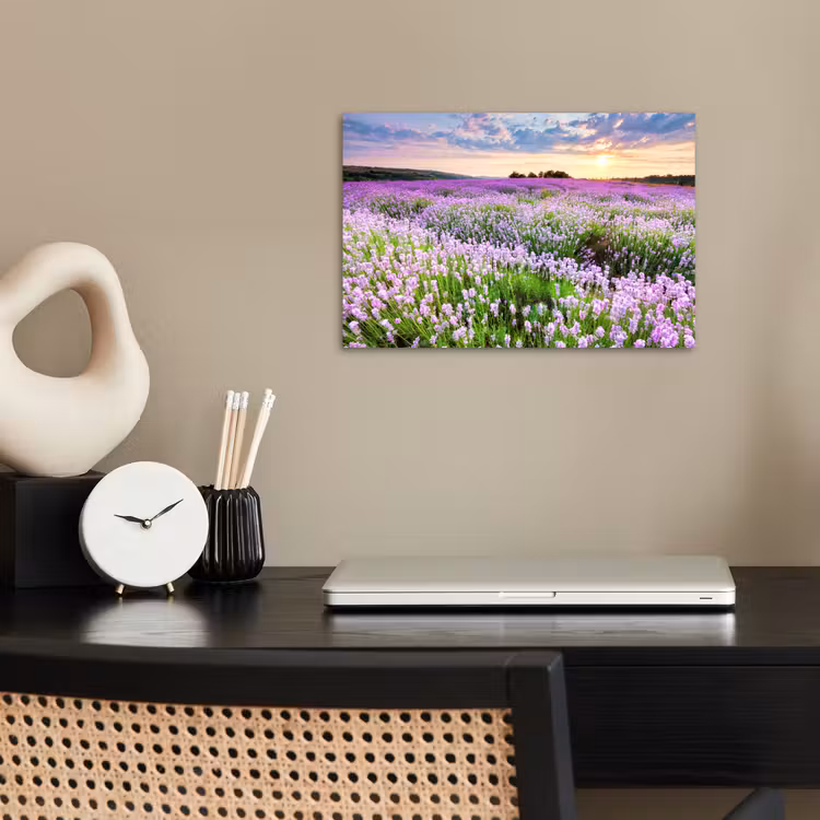 Lavendel - Bloemen - Zonsondergang - Paars - Weide poster papier klein -sfeer1
