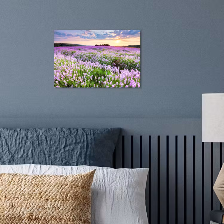 Lavendel - Bloemen - Zonsondergang - Paars - Weide poster papier klein -sfeer2