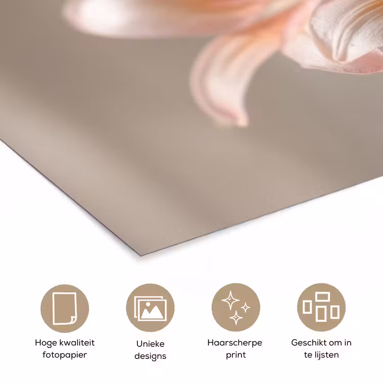 Lelies - Meeldraden - Roze - Wazig poster papier klein -closeup_NL