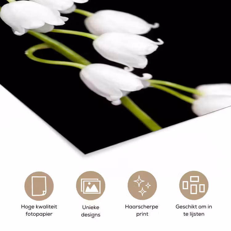 Lelietjes van dalen - Bloemen - Zwart - Flora poster papier klein -closeup_NL