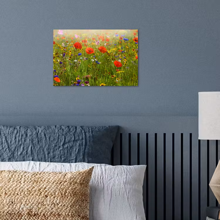 Lente - Bloemen - Rood - Klaproos - Gras - Groen poster papier klein -sfeer2