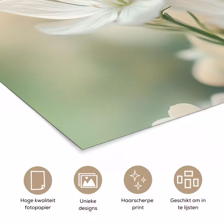 Lieveheersbeestje - Bloemen - Wit poster papier klein -closeup_NL
