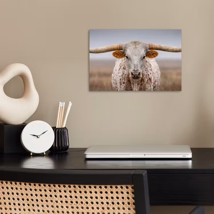 Longhorn - Grasveld - Dier poster papier klein -sfeer1