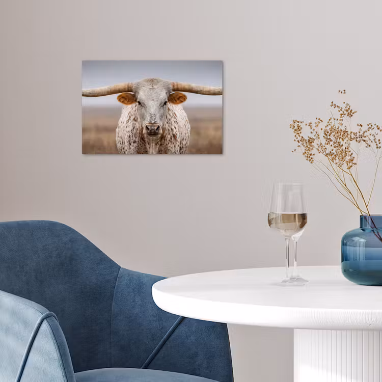 Longhorn - Grasveld - Dier poster papier klein -sfeer3