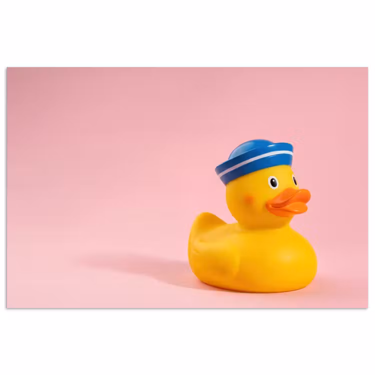 Matroos - Eend - Roze poster papier klein -3d