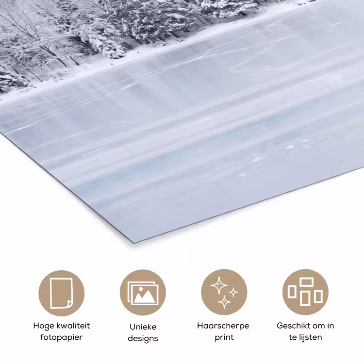 Meer - Dennen - IJs - Winter - Rustgevend poster papier klein -closeup_NL